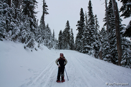 2011-11-20 Hurricane Ridge Snowshoe with Hayden-060