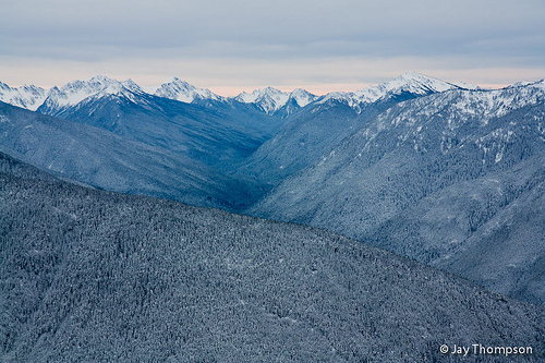 2011-11-20 Hurricane Ridge Snowshoe with Hayden-102