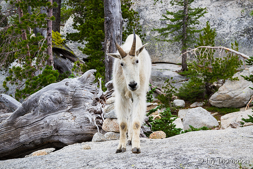 Enchantments – A weekend in the Enchantments