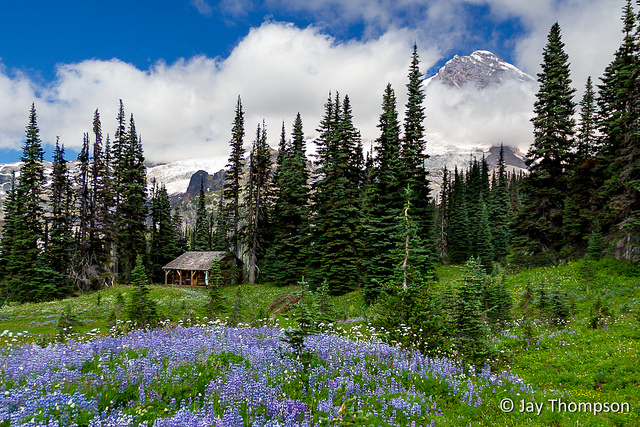 Wonderland Trail – Longmire to Mowich Lake