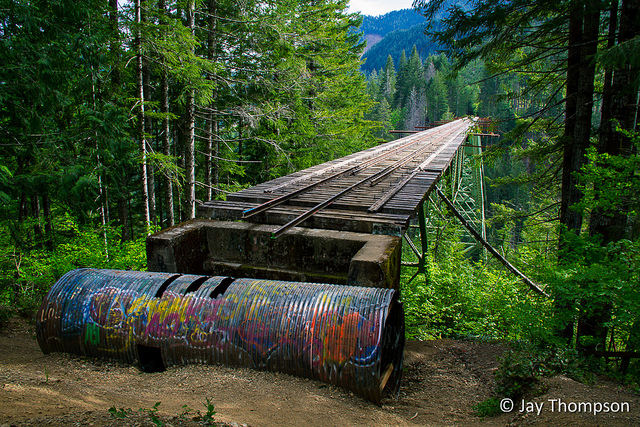 Vance Creek Bridge