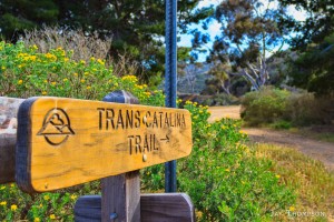The beginning of the Trans Catalina Trail