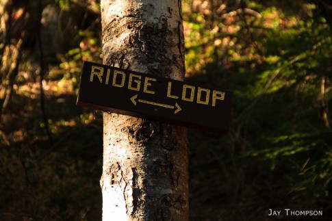 Copper Creek Trail and Four Stream