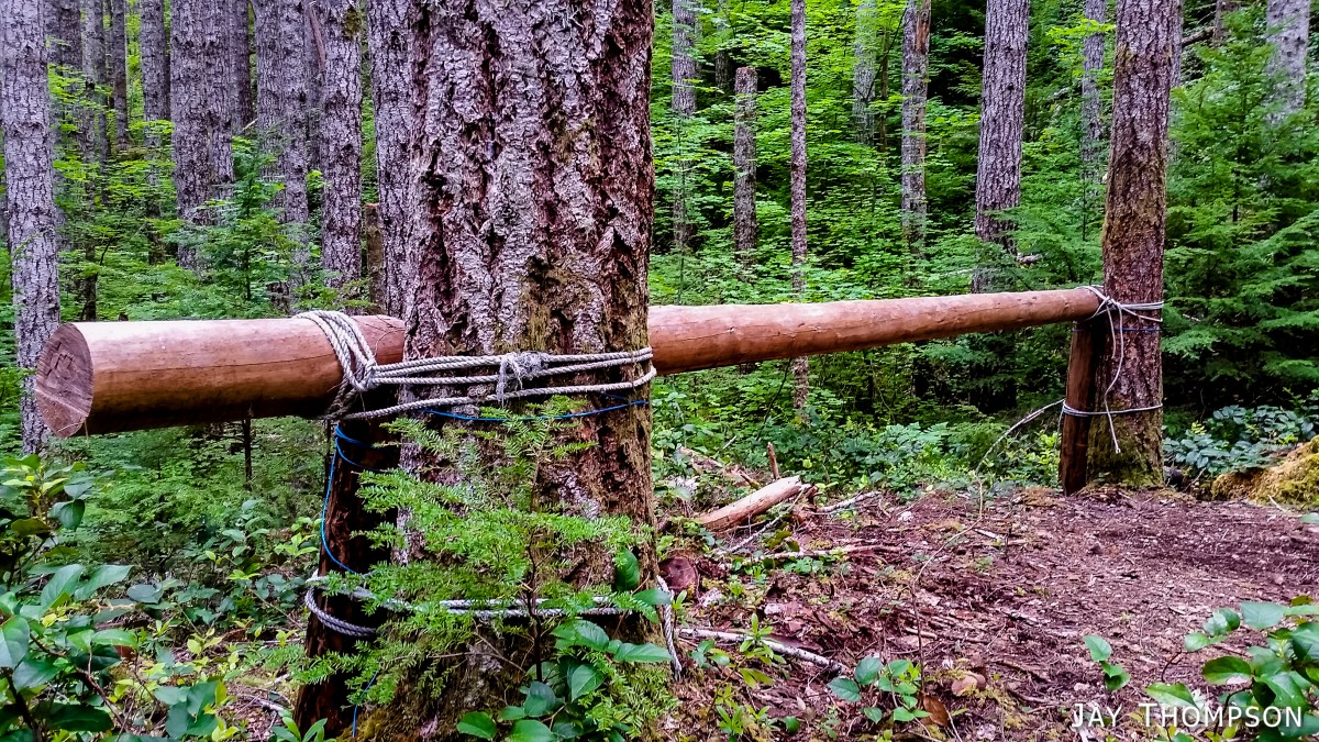 2016-05-21 Mt Muller Loop-97