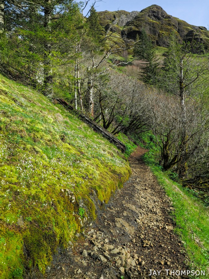 Saddle Mountain