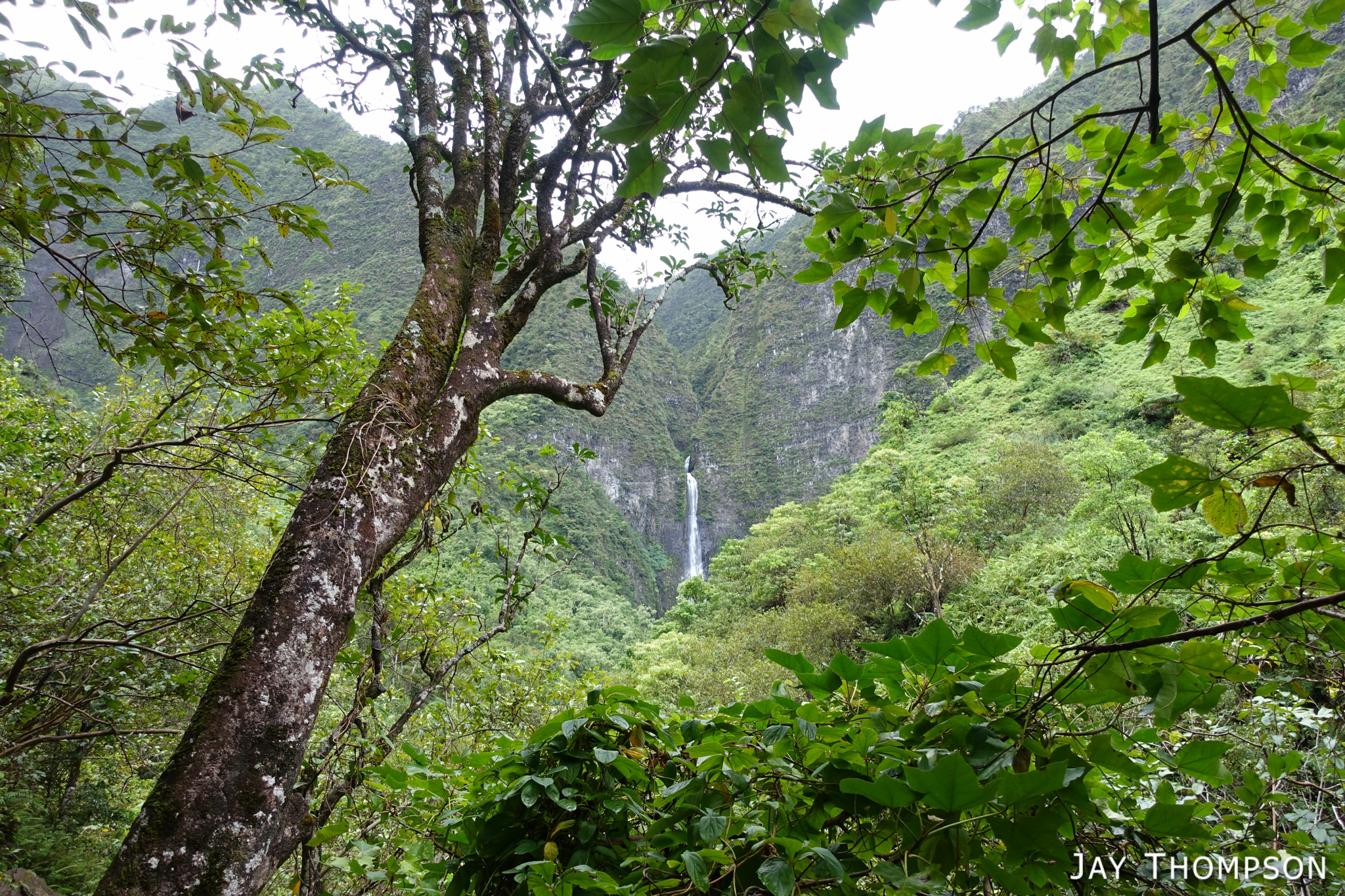 Kalalau Trail to Hanakapiai Falls – Kauai