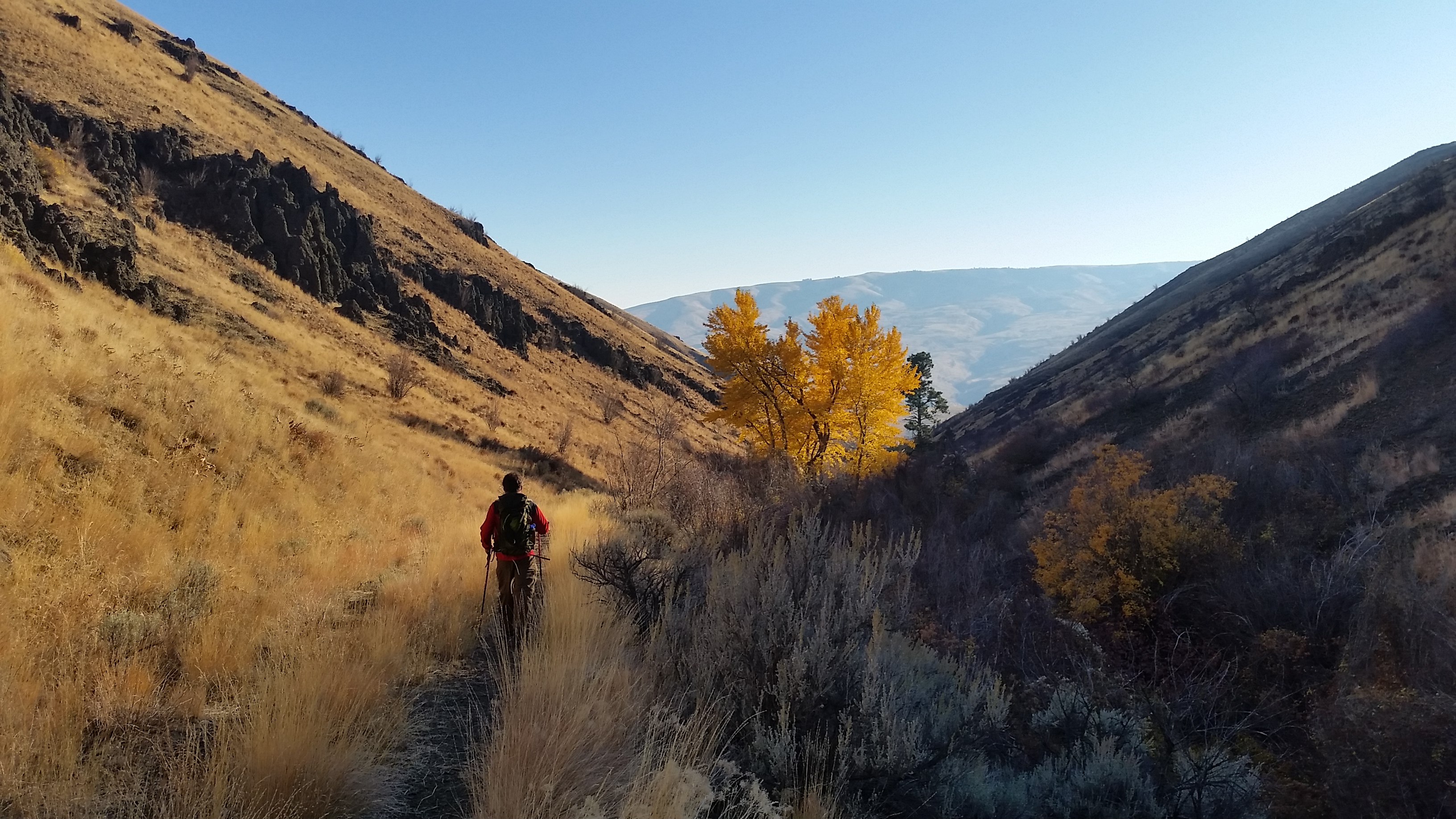 Black Canyon and Umtanum Falls