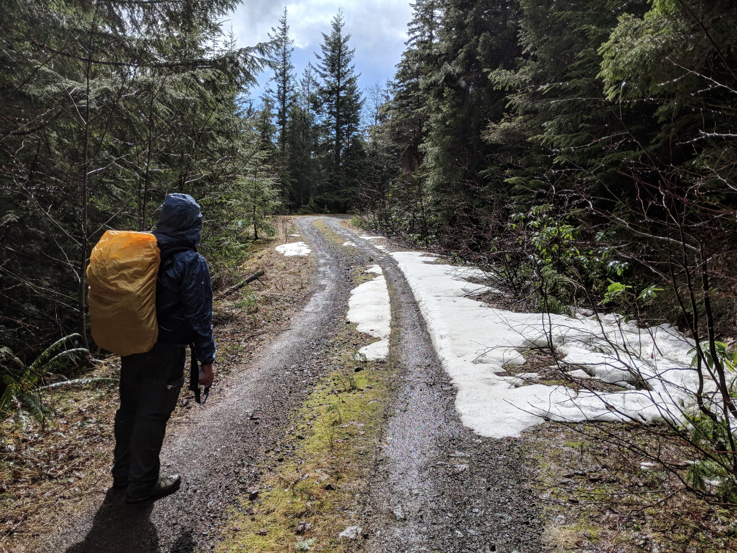 Elbo Creek Trail and Forest Road