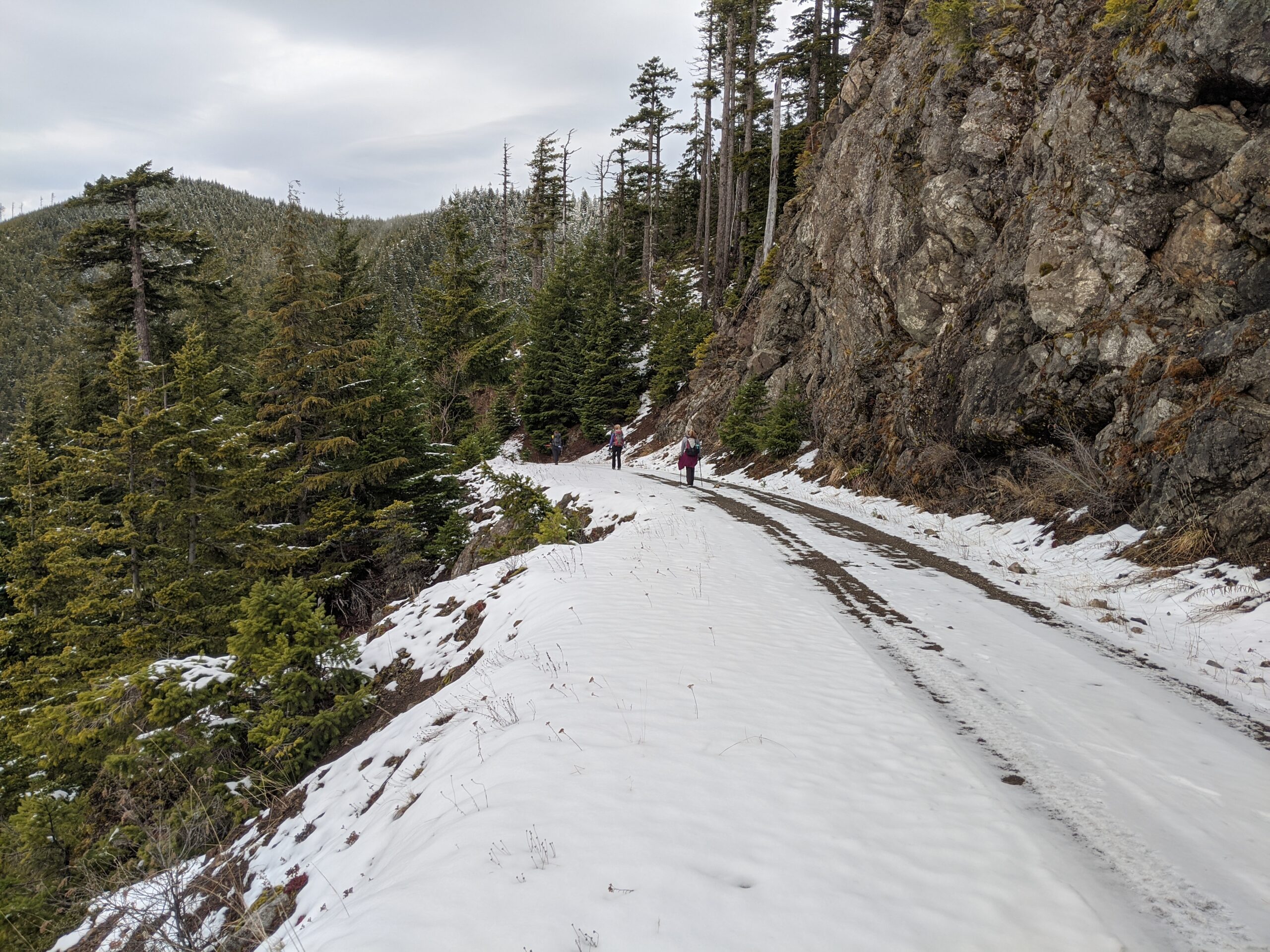 Snowy road on the Elbo Creek Loop