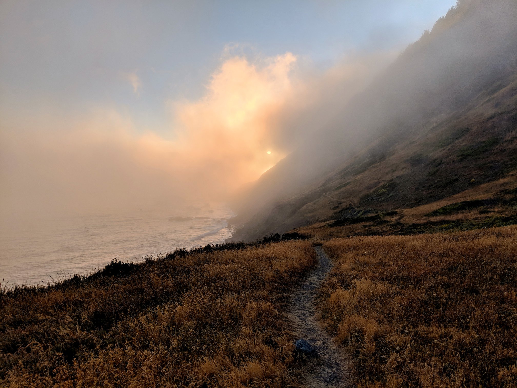 Lost Coast Trail