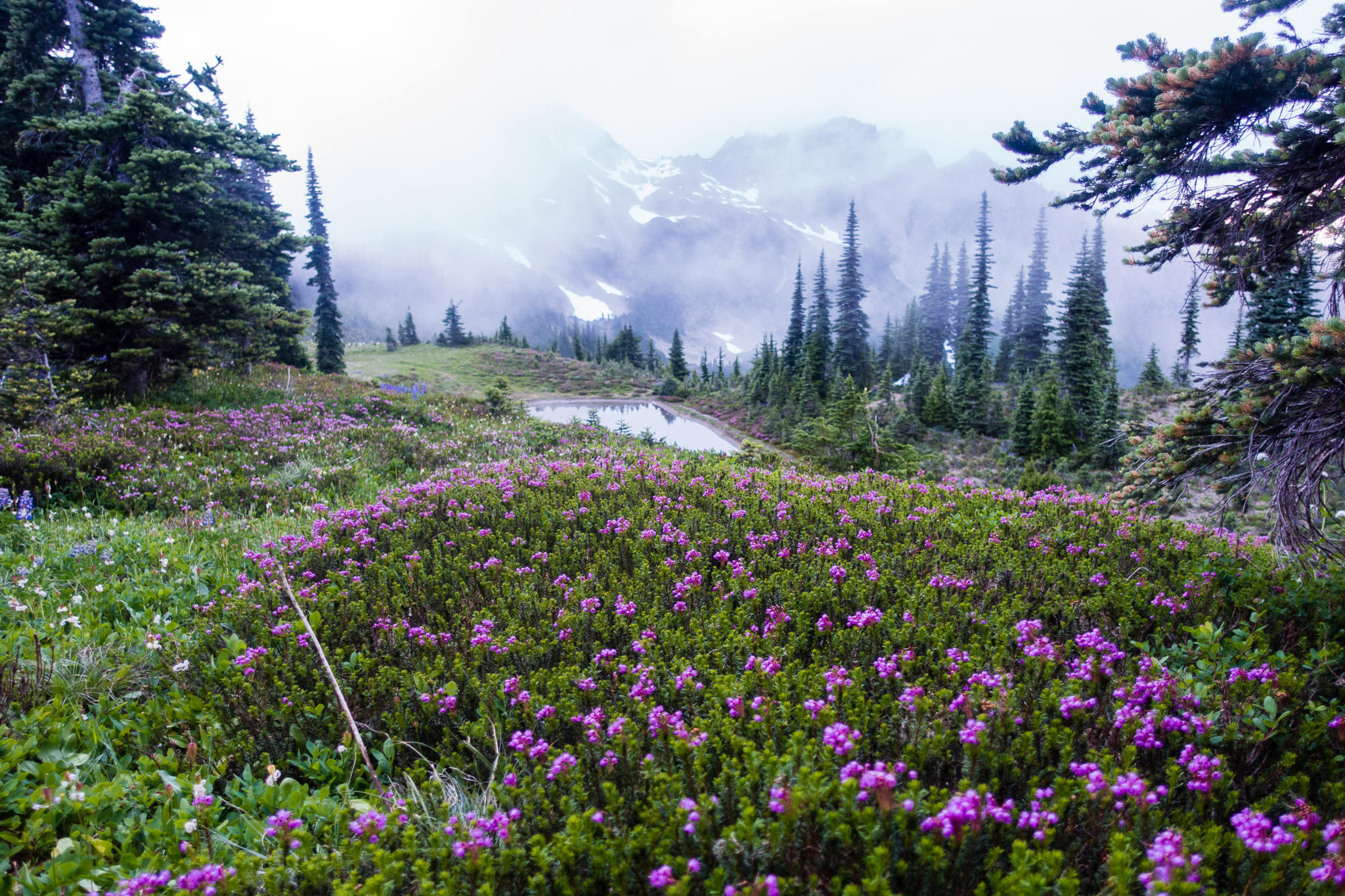 Appleton Pass