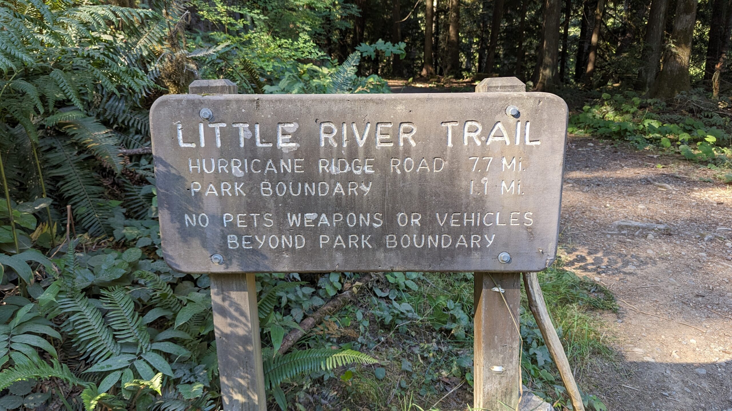 Little River Trail to Hurricane Hill Trail