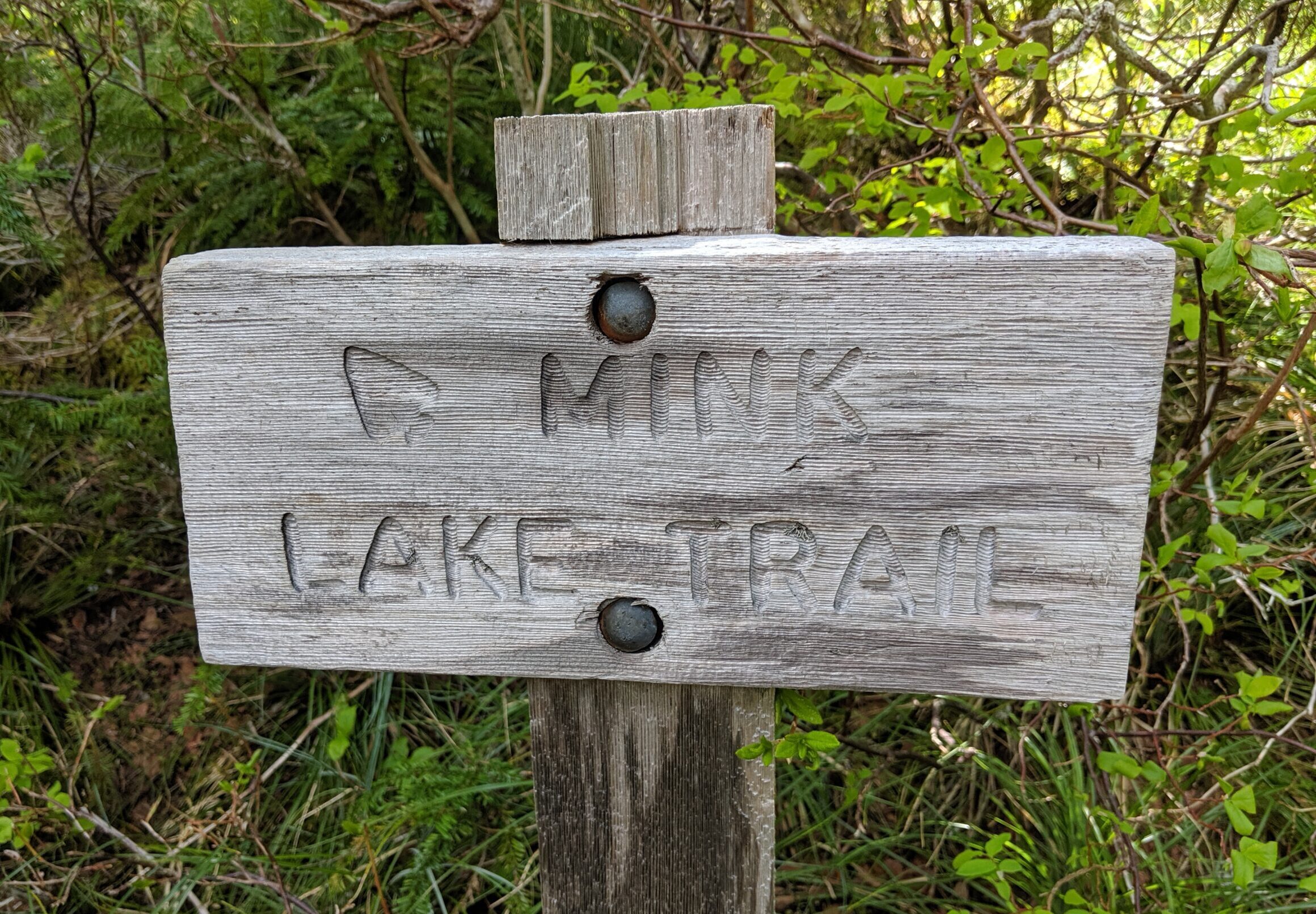 Trail sign for Mink Lake in the Olympic Mountains