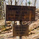 The loop starts on the Hummocks Trail #229