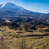 Torchered landscape