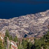 Logs on Saint Helens Lake