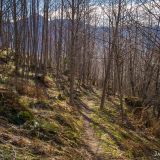 South Coldwater Trail