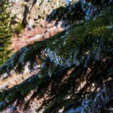 Not much snow, but that didn't mean it wasn't cold out.