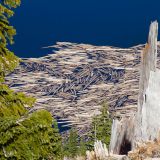 Logs on Saint Helens Lake