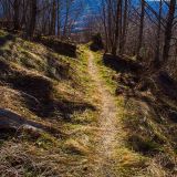 South Coldwater Trail