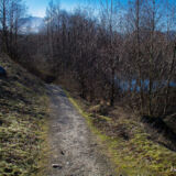 Hummocks Trail
