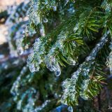 Not much snow, but that didn't mean it wasn't cold out.