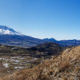 Trail scene, with Harry's Ridge and Saint Helens.