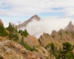 Ellinor View Ellinor View