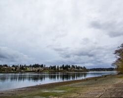 Port Washington Narrows from the Lions Park Boat Ramp in Bremerton Port Washington Narrows from the Lions Park Boat Ramp in Bremerton