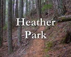 Heather Park Heather Park