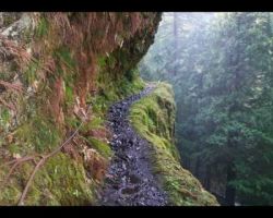 2008 in review 2008 in review