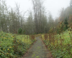 Fall was definitely in the air