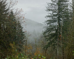 It certainly felt spooky