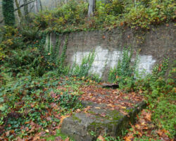 More evidence that there was a thriving mine town here