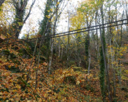Old mining cart tracks