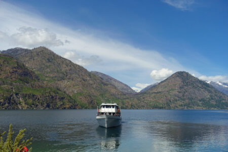 We're on our own now!