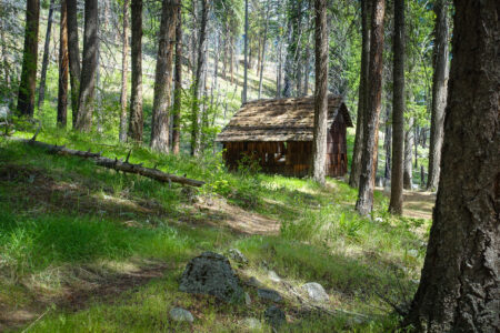 Meadow Creek Shelter