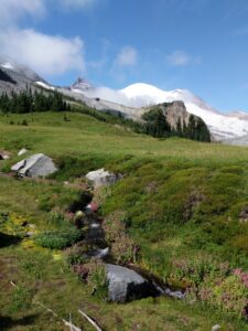 Meadows near Summerland